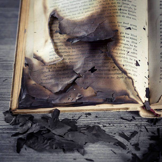 Pages of a burnt book. Flakes of burnt paper and ash.
